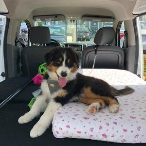 Meet your Posher, Maria